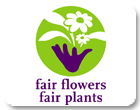 Fair Flowers